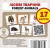 картки лісові тварини англійська / українська Ціна (цена) 26.00грн. | придбати  купити (купить) картки лісові тварини англійська / українська доставка по Украине, купить книгу, детские игрушки, компакт диски 0