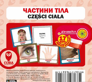 картки частини тіла польська / українська картки частини тіла польська / українська