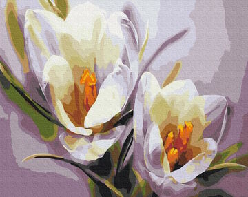 Розпис по номерах 40х50 BS5828 Крокуси brushme Брашми