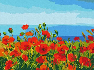 Розпис по номерах 30х40 RBS1005 Поле маків Клод Моне brushme Брашми