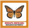 картки комахи англійська / українська 9789669751850 Ціна (цена) 22.60грн. | придбати  купити (купить) картки комахи англійська / українська 9789669751850 доставка по Украине, купить книгу, детские игрушки, компакт диски 3