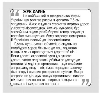 картки комахи англійська / українська Ціна (цена) 23.99грн. | придбати  купити (купить) картки комахи англійська / українська доставка по Украине, купить книгу, детские игрушки, компакт диски 2