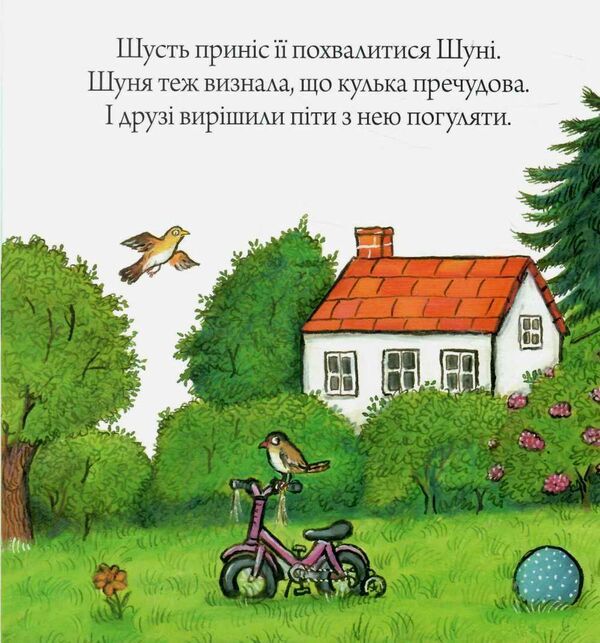 шусть і шуня велетенська кулька Ціна (цена) 200.00грн. | придбати  купити (купить) шусть і шуня велетенська кулька доставка по Украине, купить книгу, детские игрушки, компакт диски 3