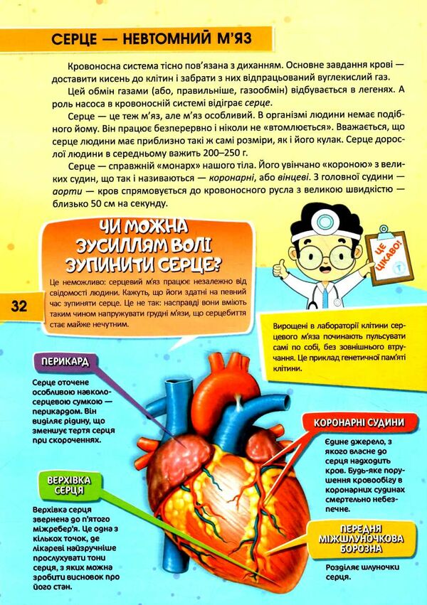 перша шкільна енциклопедія тіло людини Ціна (цена) 204.50грн. | придбати  купити (купить) перша шкільна енциклопедія тіло людини доставка по Украине, купить книгу, детские игрушки, компакт диски 3