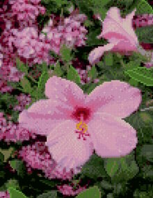 Алмазна мозаїка 30х40 HX158 Рожева квітка "Strateg"