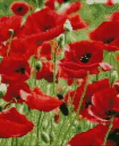 Алмазна мозаїка 30х40 HX462 Макове поле "Strateg"