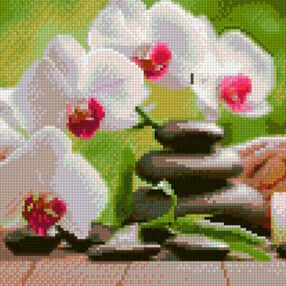 Алмазна мозаїка 30х30 CA-0060 Орхідеї "Strateg"