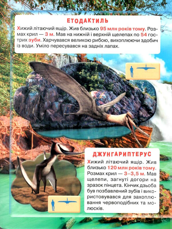 твоя перша книга літаючі ящери книга-картонка А4 Ціна (цена) 25.00грн. | придбати  купити (купить) твоя перша книга літаючі ящери книга-картонка А4 доставка по Украине, купить книгу, детские игрушки, компакт диски 1