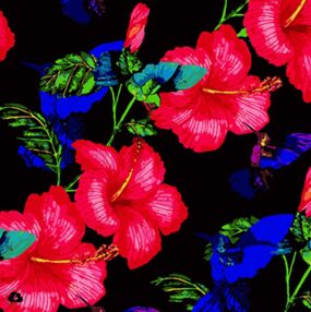 Розпис по номерах 40х40 AV4040-31 Розкіш гібіскуса на чорному фоні "Strateg"