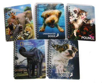 Уцінка Блокнот 3D малюнок, на пружині, в клітинку А6 15-10см в асортименті