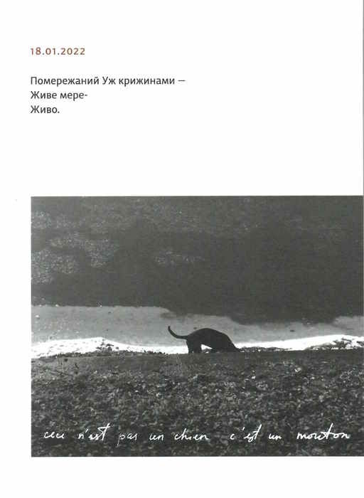 УЦІНКА primitivo (биті кутики) Ціна (цена) 220.00грн. | придбати  купити (купить) УЦІНКА primitivo (биті кутики) доставка по Украине, купить книгу, детские игрушки, компакт диски 2