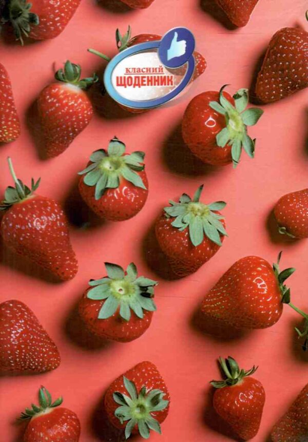 щоденник шкільний класний тверда обкладинка в асортименті Ціна (цена) 40.20грн. | придбати  купити (купить) щоденник шкільний класний тверда обкладинка в асортименті доставка по Украине, купить книгу, детские игрушки, компакт диски 5