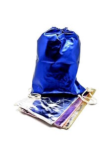 Сумка для взуття ST00842 42х32см