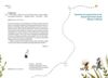 Казковий ліс пригоди єнотів-бешкетників Ціна (цена) 290.00грн. | придбати  купити (купить) Казковий ліс пригоди єнотів-бешкетників доставка по Украине, купить книгу, детские игрушки, компакт диски 2