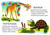 хто який картонка формат А5 Ціна (цена) 33.00грн. | придбати  купити (купить) хто який картонка формат А5 доставка по Украине, купить книгу, детские игрушки, компакт диски 1