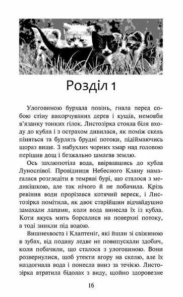 коти-вояки доля небесного клану спеціальне видання Ціна (цена) 365.00грн. | придбати  купити (купить) коти-вояки доля небесного клану спеціальне видання доставка по Украине, купить книгу, детские игрушки, компакт диски 1