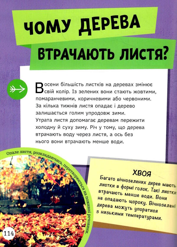 енциклопедія для юних розумників довколапитань Ціна (цена) 398.80грн. | придбати  купити (купить) енциклопедія для юних розумників довколапитань доставка по Украине, купить книгу, детские игрушки, компакт диски 6