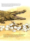 друзяки-динозаврики страшний крокодил Ціна (цена) 196.00грн. | придбати  купити (купить) друзяки-динозаврики страшний крокодил доставка по Украине, купить книгу, детские игрушки, компакт диски 3