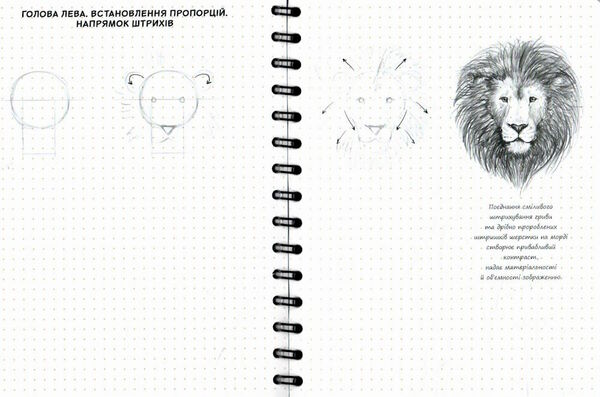 Sketchbook візуальний експрес-курс рисування базові основи для початківців Ціна (цена) 278.00грн. | придбати  купити (купить) Sketchbook візуальний експрес-курс рисування базові основи для початківців доставка по Украине, купить книгу, детские игрушки, компакт диски 3