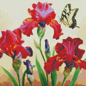 Алмазна мозаїка 40х40 АМО7650 Вишукані іриси "Ідейка"