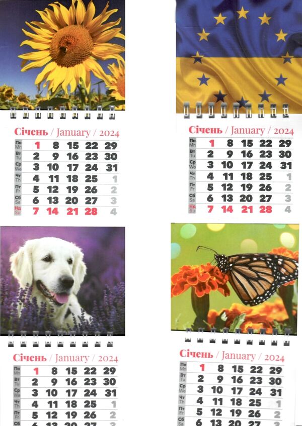 Календар 2026 магнітний великий Ціна (цена) 11.80грн. | придбати  купити (купить) Календар 2026 магнітний великий доставка по Украине, купить книгу, детские игрушки, компакт диски 1