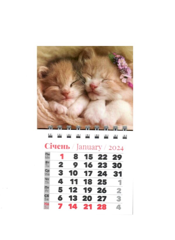 Календар 2026 магнітний великий Ціна (цена) 11.80грн. | придбати  купити (купить) Календар 2026 магнітний великий доставка по Украине, купить книгу, детские игрушки, компакт диски 0