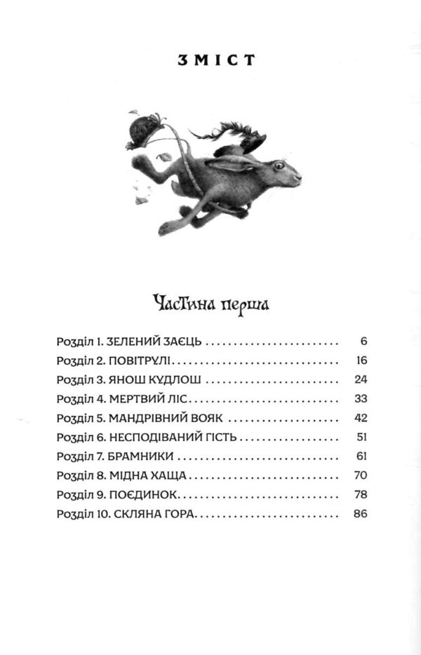 Розбійник Пинтя у Заклятому місті Ціна (цена) 289.00грн. | придбати  купити (купить) Розбійник Пинтя у Заклятому місті доставка по Украине, купить книгу, детские игрушки, компакт диски 2