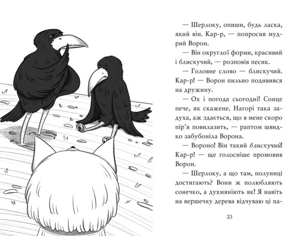 знайомтеся шерлок книга 4 як воно - бути справжнім детективом Ціна (цена) 146.90грн. | придбати  купити (купить) знайомтеся шерлок книга 4 як воно - бути справжнім детективом доставка по Украине, купить книгу, детские игрушки, компакт диски 5