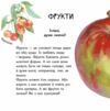 В гостях у природи Про рослини Ранок Ціна (цена) 58.40грн. | придбати  купити (купить) В гостях у природи Про рослини Ранок доставка по Украине, купить книгу, детские игрушки, компакт диски 4