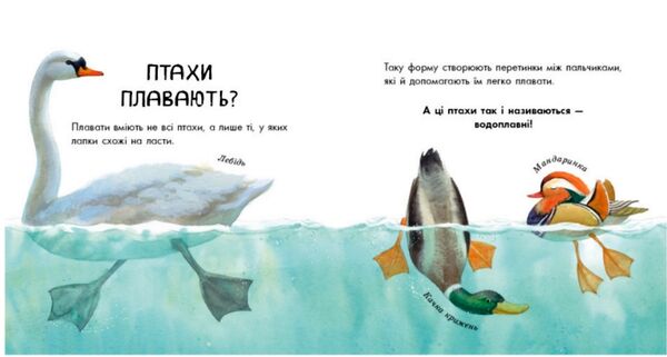 в гостях у природи птахи різні та дивовижні книга  Уточнюйте  строки доставки (2-5 діб) Ціна (цена) 61.20грн. | придбати  купити (купить) в гостях у природи птахи різні та дивовижні книга  Уточнюйте  строки доставки (2-5 діб) доставка по Украине, купить книгу, детские игрушки, компакт диски 2