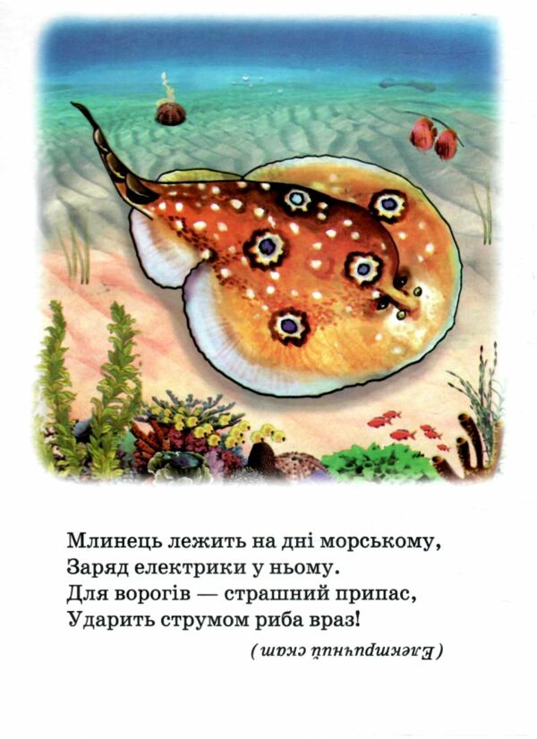 Морські мешканці книжка картонка а5 Ціна (цена) 21.30грн. | придбати  купити (купить) Морські мешканці книжка картонка а5 доставка по Украине, купить книгу, детские игрушки, компакт диски 3
