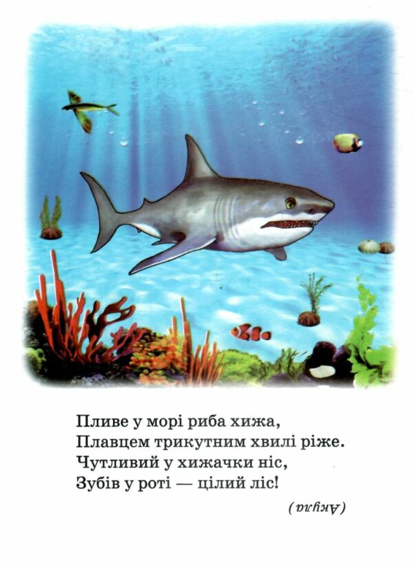 Морські мешканці книжка картонка а5 Ціна (цена) 21.30грн. | придбати  купити (купить) Морські мешканці книжка картонка а5 доставка по Украине, купить книгу, детские игрушки, компакт диски 1