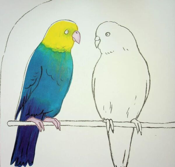 Розмальовка розгорталка Свійські тварини Ціна (цена) 179.30грн. | придбати  купити (купить) Розмальовка розгорталка Свійські тварини доставка по Украине, купить книгу, детские игрушки, компакт диски 7