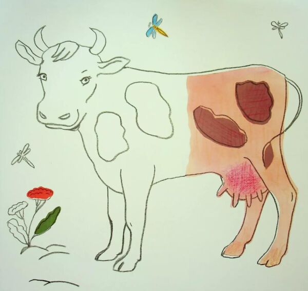 Розмальовка розгорталка Свійські тварини Ціна (цена) 179.30грн. | придбати  купити (купить) Розмальовка розгорталка Свійські тварини доставка по Украине, купить книгу, детские игрушки, компакт диски 1