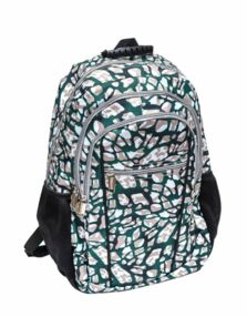 Рюкзак Leader 982550 ортопедичний, зелений 42х29х15см