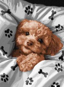 Розпис по номерах 30х40 КНО6538 Милий мальтіпу "Ідейка"