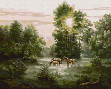 Розпис по номерах 40х50 КНО4362 Світанок "Ідейка"