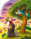 Казки з Дрімайликової торби (трохи потерті куточки) Ціна (цена) 228.00грн. | придбати  купити (купить) Казки з Дрімайликової торби (трохи потерті куточки) доставка по Украине, купить книгу, детские игрушки, компакт диски 3