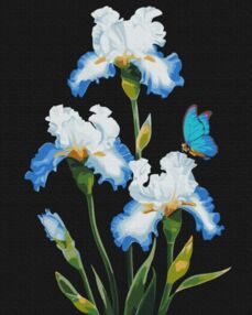 Розпис по номерах 40х50 BS53915 Іриси brushme Брашми