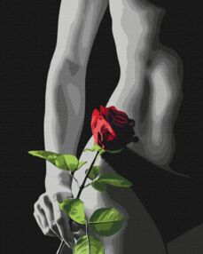 Розпис по номерах 40х50 BS53919 Елегантний акцент brushme Брашми