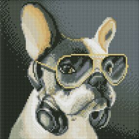 Алмазна мозаїка б/підрамн 30х30 АМС7725 Пухнастий діджей "Ідейка"