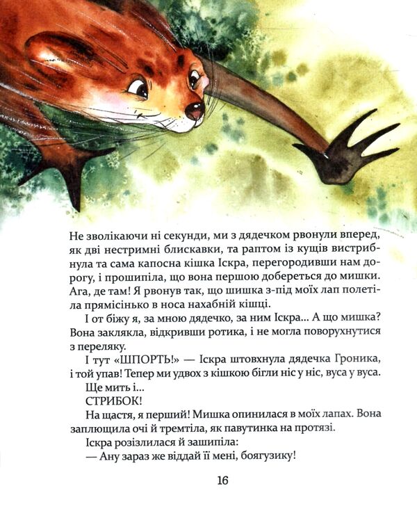 Біжи Форесте біжи! Ціна (цена) 364.32грн. | придбати  купити (купить) Біжи Форесте біжи! доставка по Украине, купить книгу, детские игрушки, компакт диски 2