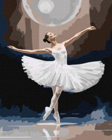 Розпис по номерах 40х50 КНО8323 Витончена краса "Ідейка"