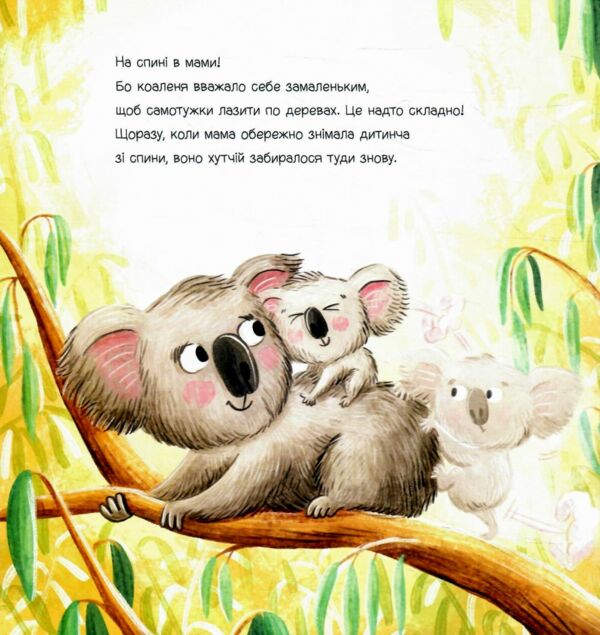 Зникла? Знайшлась! Книга-перевертайка Ціна (цена) 208.90грн. | придбати  купити (купить) Зникла? Знайшлась! Книга-перевертайка доставка по Украине, купить книгу, детские игрушки, компакт диски 1
