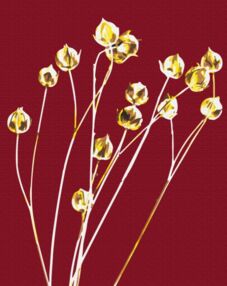 Розпис по номерах 40х50 BS53991 Золотий льон brushme Брашмі