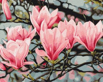 Розпис по номерах 40х50 BS54135 Цвіт магнолій brushme Брашмі