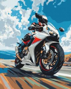 Розпис по номерах 40х50 BS54133 Шлях до хмар brushme Брашмі