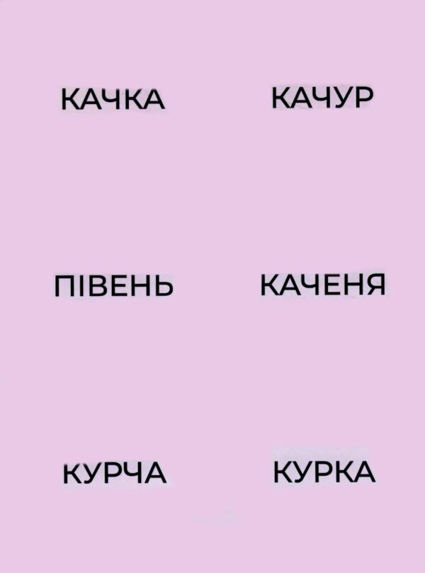 пограйся з нами і запам'ятай серія щабельки уточнюйте наявність РОЗПРОДАЖ Ціна (цена) 85.00грн. | придбати  купити (купить) пограйся з нами і запам'ятай серія щабельки уточнюйте наявність РОЗПРОДАЖ доставка по Украине, купить книгу, детские игрушки, компакт диски 2