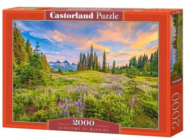пазли 2000 елементів Blossoms of Morning 200863