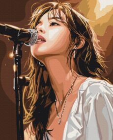 Розпис по номерах 40х50 BS54047 К-поп співачка brushme Брашми